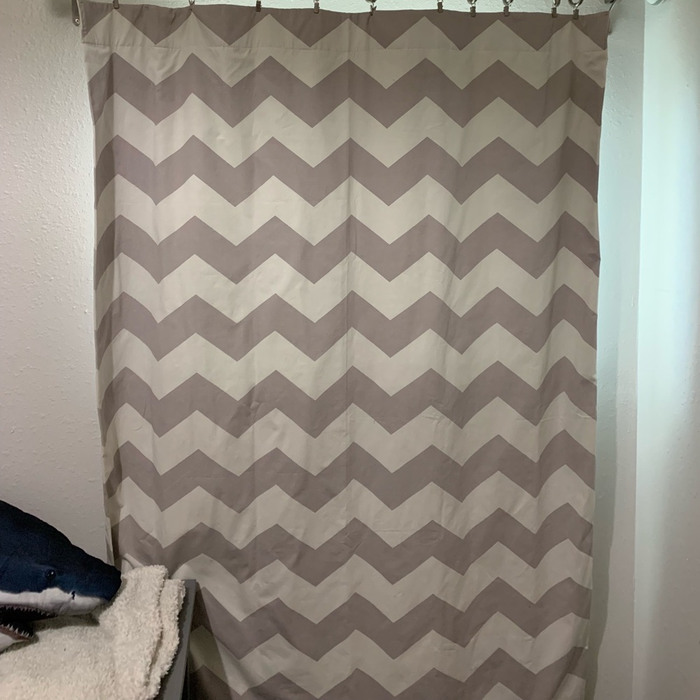 Pottery Barn curtain and curtain rings
